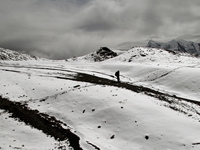 A snowy trail