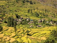 Sibang Village