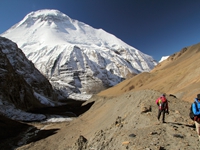 On the top of the scree