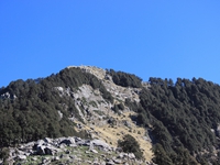 Top of Snowline from Triund