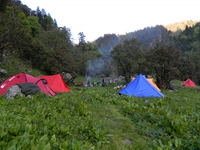 Camp at Surmola Thatch (3460 mt.)