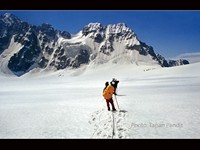 Towards PanPatia col