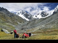 Way to Barasu Pass