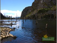 MADHURI LAKE