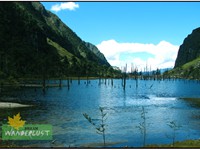 OPEN MADHURI LAKE