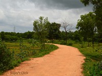 Red soiled road