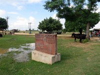 The animal market of Taltala