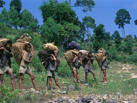 Porters at rest