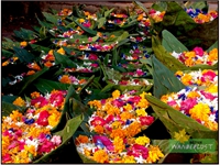 DALI OF FLOWERS AT HARIDWAR