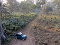 dooars, jaldapara, tista