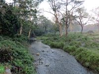 dooars, jaldapara, tista