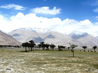 Cold desert - Hundar  at an altitude of 10000ft in Nubra Valley