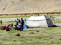 Tent of  gypsy  called Changpa  tribe near Rup