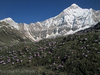 NDE Summit from BC Bidalgwar