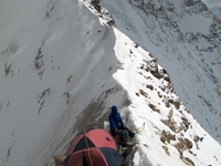 LONGSTAFF'S COL 5910M