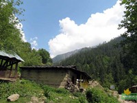 Pulga village