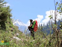  View from the trail