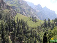 Green meadow on the other side of the river