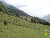 Walking on the long trail through a green meadow