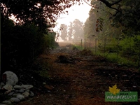 Monsoon in Jim Corbett National Park