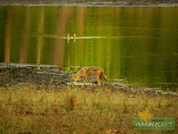 Nature in liquid sunshine