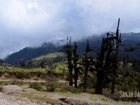 Cloudy Sandakphu