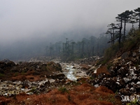 Mesmerizing Sikkim