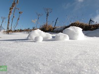 THICK SNOW