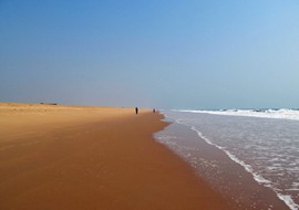 The Canvas of Chilika Lagoon