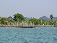 chilika lake, odisha