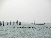 chilika lake, odisha