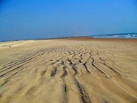 chilika lake, odisha