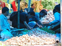 market of bindu, bindu market, bindu