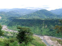 market of bindu, bindu market, bindu