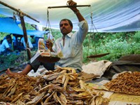 market of bindu, bindu market, bindu