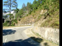 Roadside