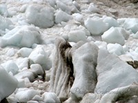 The snow sculpture at Gomukh