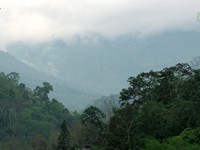 Landscape view on the way towards Jorthang