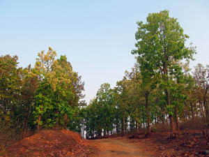 Daringbadi, Odisha