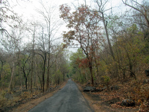 Daringbadi, Odisha